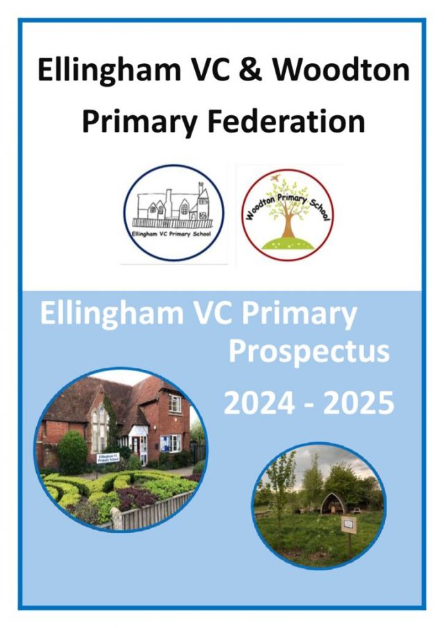 thumbnail of Ellingham Prospectus 2024